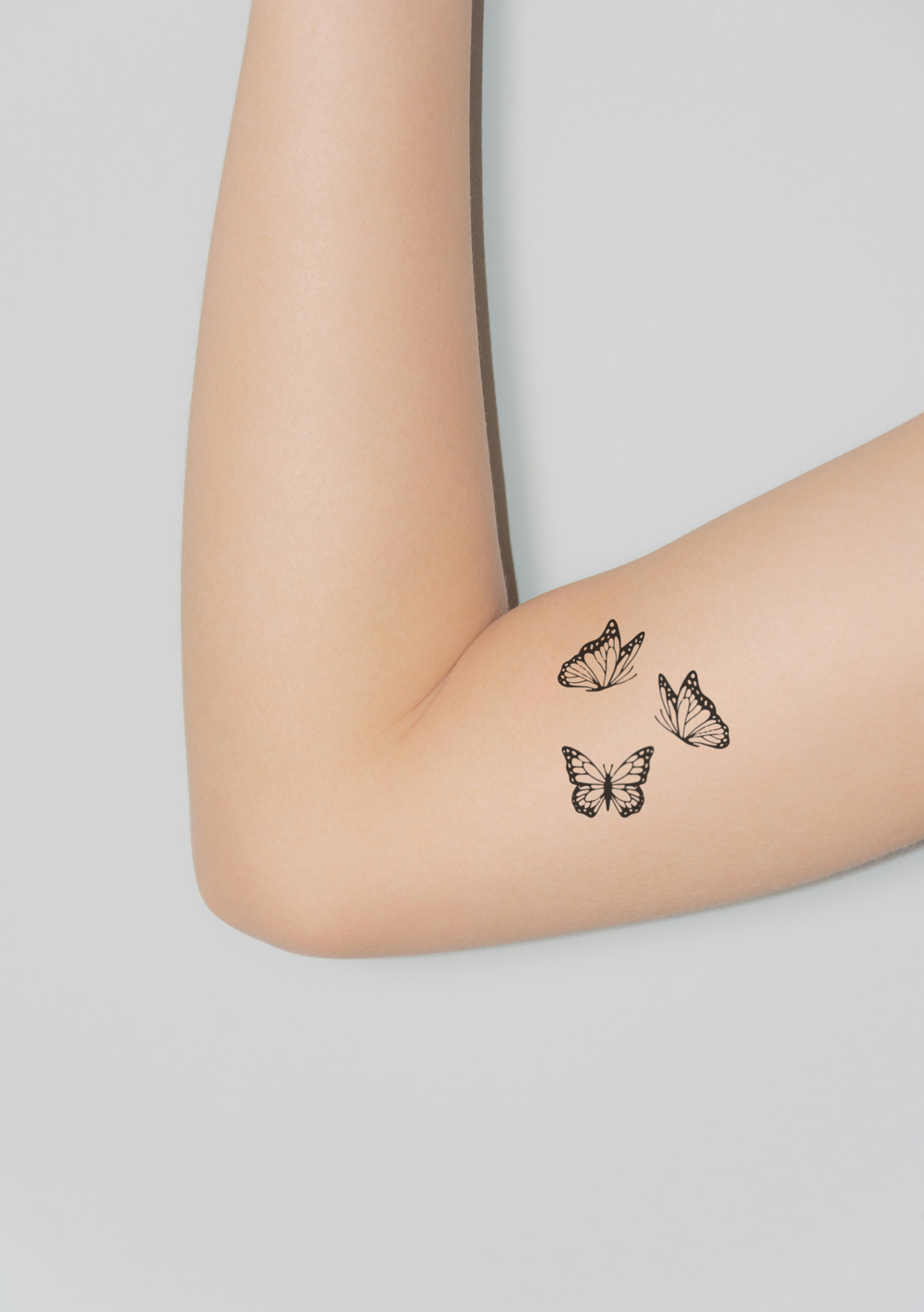 Fineline Schmetterlinge